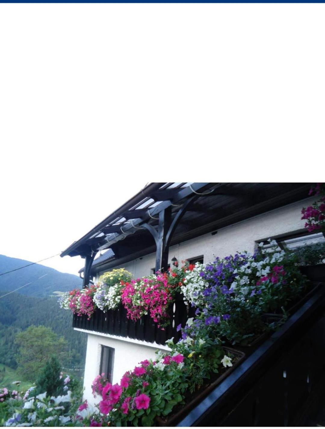Ferienwohnung Sobe Tanja Podbrdo Exterior foto